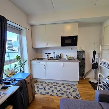 Modern And Sentral Penthouse